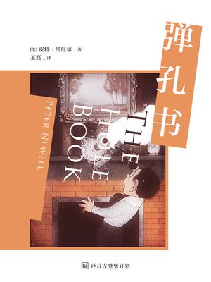 cover image of 弹孔书